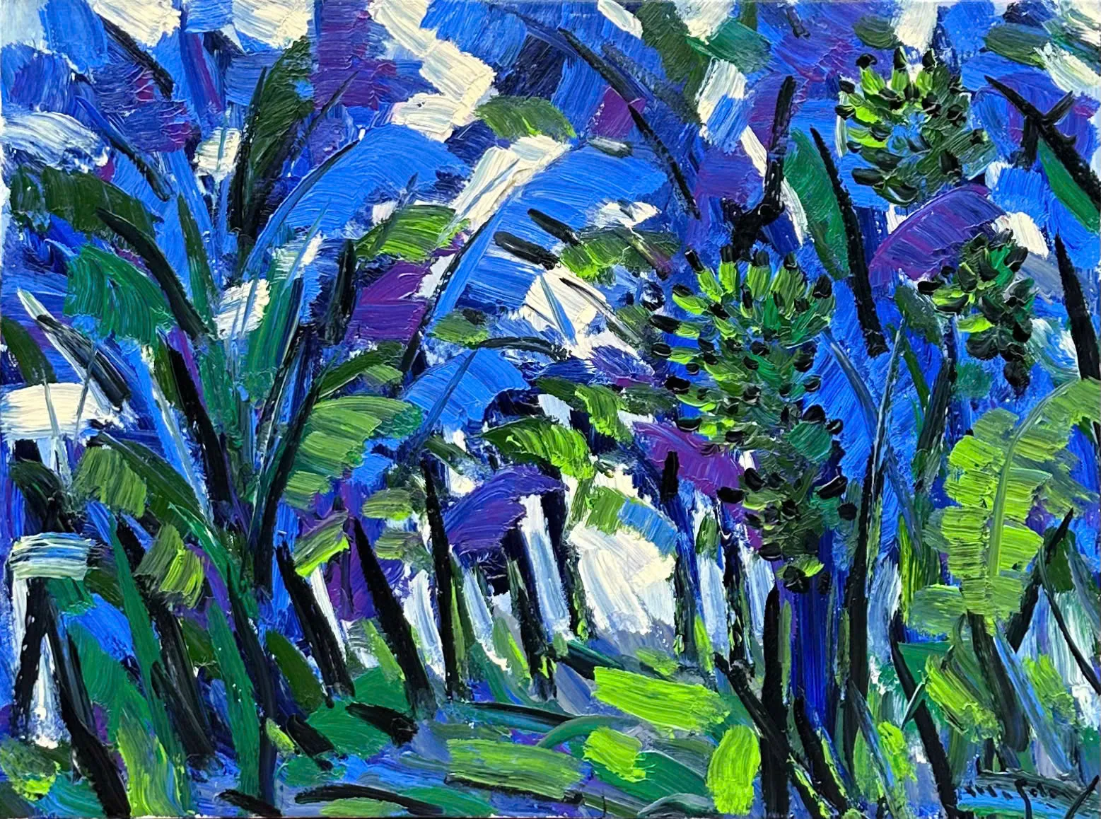 Banana Garden – Nguyen Minh Son